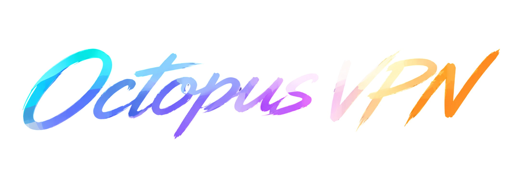 Octopus VPN